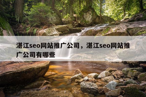 湛江seo网站推广公司,湛江seo网站推广公司有哪些