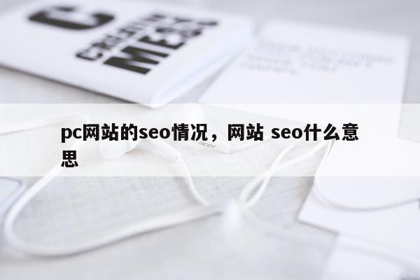 pc网站的seo情况，网站 seo什么意思