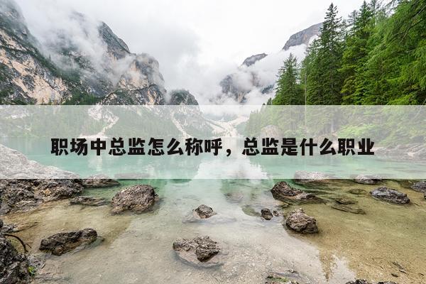 职场中总监怎么称呼，总监是什么职业
