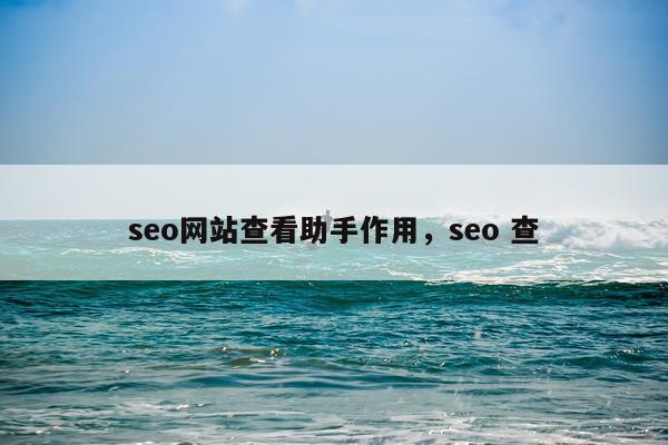 seo网站查看助手作用，seo 查