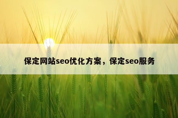 保定网站seo优化方案，保定seo服务