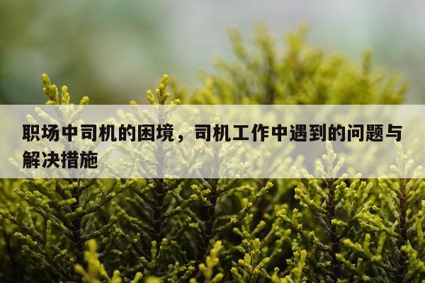 职场中司机的困境，司机工作中遇到的问题与解决措施