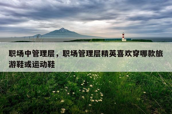 职场中管理层，职场管理层精英喜欢穿哪款旅游鞋或运动鞋