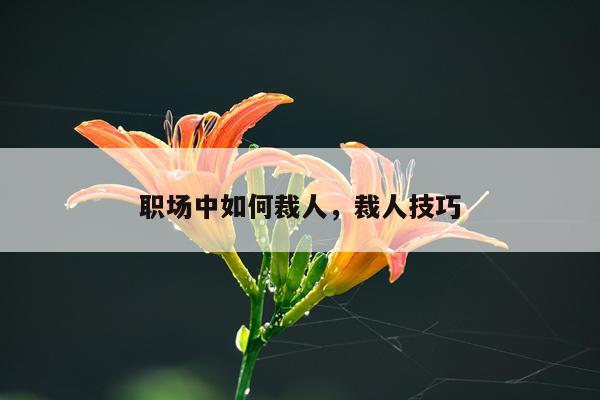 职场中如何裁人,裁人技巧