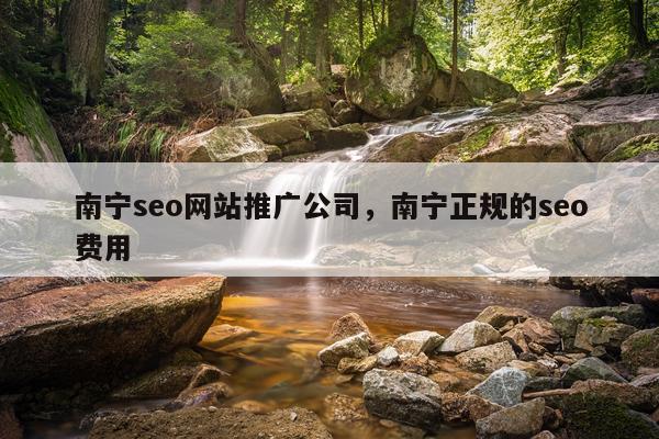 南宁seo网站推广公司，南宁正规的seo费用