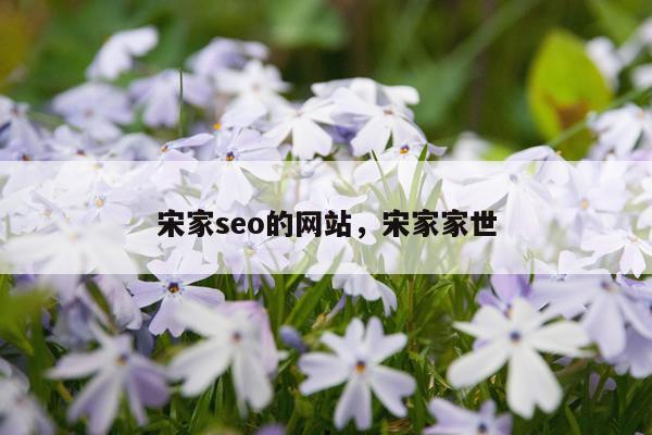 宋家seo的网站，宋家家世