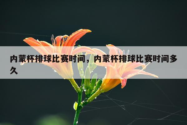 内蒙杯排球比赛时间,内蒙杯排球比赛时间多久