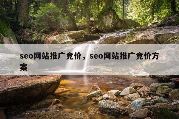 seo网站推广竞价，seo网站推广竞价方案