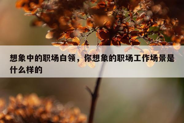 想象中的职场白领，你想象的职场工作场景是什么样的