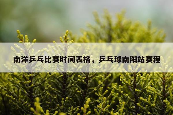 南洋乒乓比赛时间表格，乒乓球南阳站赛程