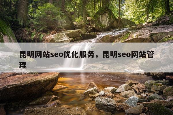 昆明网站seo优化服务，昆明seo网站管理