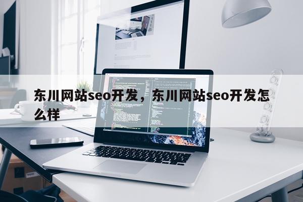 东川网站seo开发，东川网站seo开发怎么样