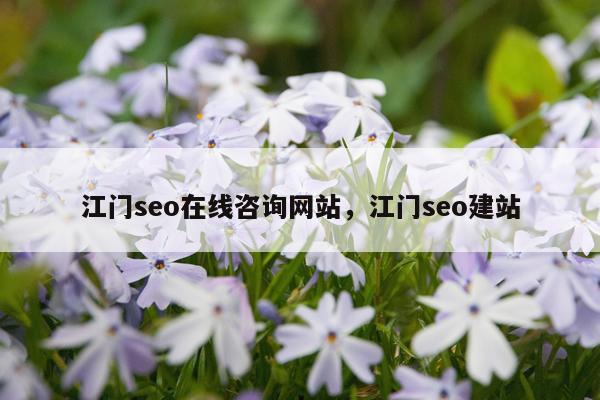 江门seo在线咨询网站，江门seo建站