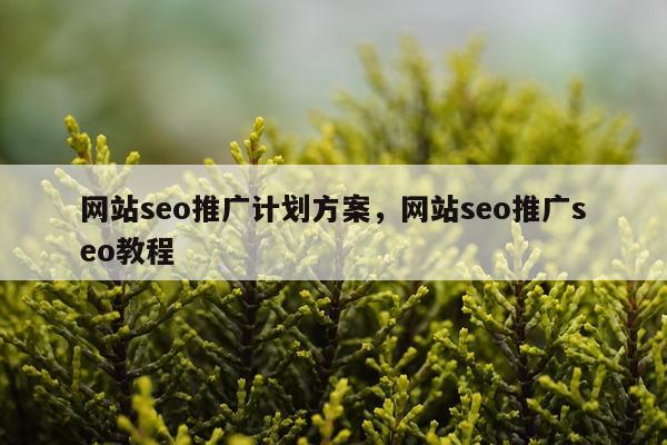 网站seo推广计划方案，网站seo推广seo教程