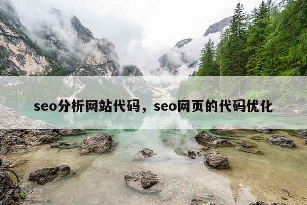 seo分析网站代码，seo网页的代码优化