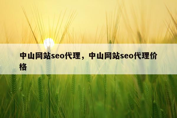 中山网站seo代理,中山网站seo代理价格