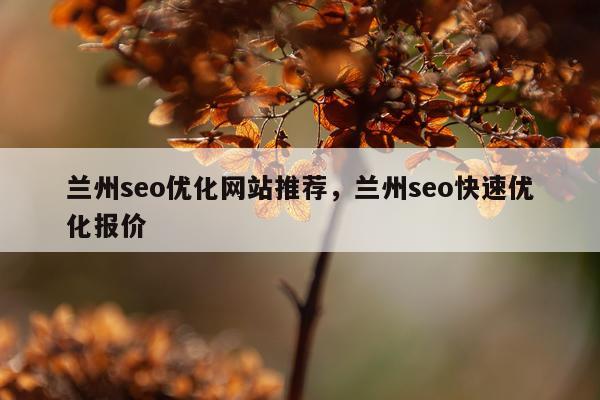 兰州seo优化网站推荐,兰州seo快速优化报价