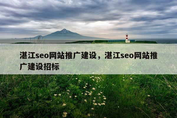 湛江seo网站推广建设，湛江seo网站推广建设招标