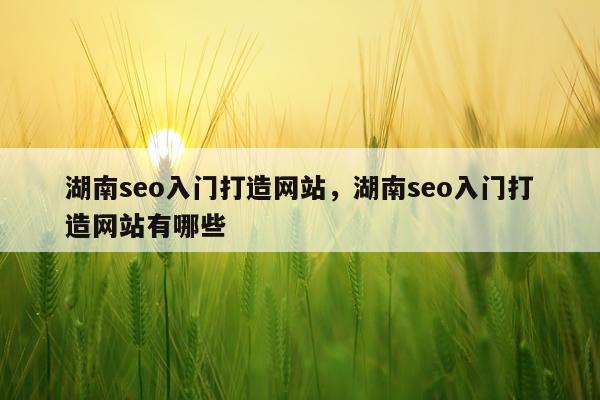 湖南seo入门打造网站，湖南seo入门打造网站有哪些