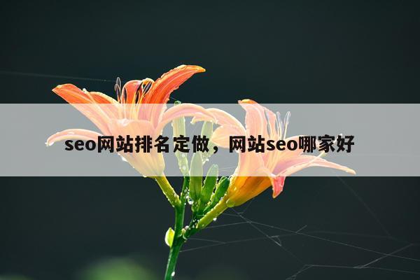 seo网站排名定做,网站seo哪家好