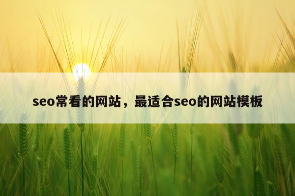 seo常看的网站,最适合seo的网站模板