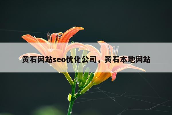 黄石网站seo优化公司，黄石本地网站
