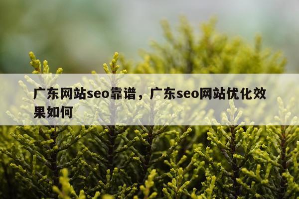 广东网站seo靠谱，广东seo网站优化效果如何