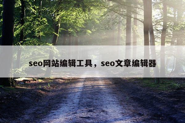 seo网站编辑工具，seo文章编辑器
