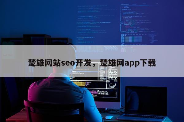 楚雄网站seo开发，楚雄网app下载