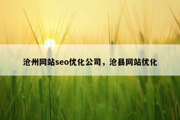 沧州网站seo优化公司，沧县网站优化