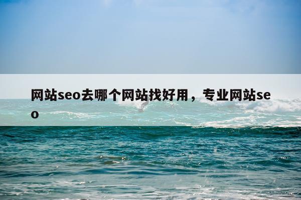 网站seo去哪个网站找好用，专业网站seo