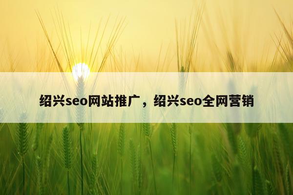 绍兴seo网站推广，绍兴seo全网营销