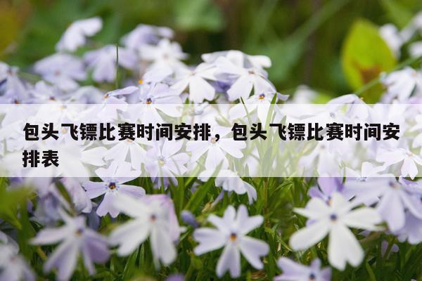 包头飞镖比赛时间安排，包头飞镖比赛时间安排表