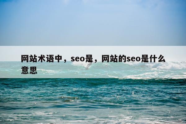 网站术语中，seo是，网站的seo是什么意思