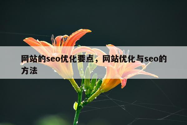网站的seo优化要点，网站优化与seo的方法