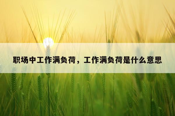职场中工作满负荷，工作满负荷是什么意思