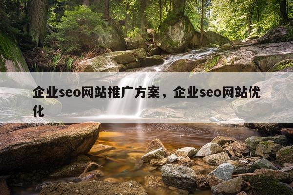 企业seo网站推广方案，企业seo网站优化