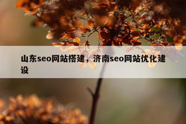 山东seo网站搭建，济南seo网站优化建设
