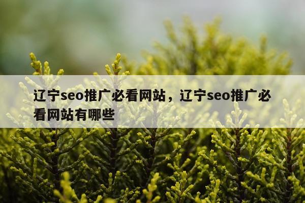 辽宁seo推广必看网站，辽宁seo推广必看网站有哪些