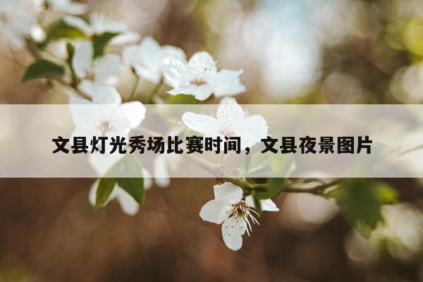 文县灯光秀场比赛时间，文县夜景图片