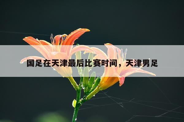 国足在天津最后比赛时间，天津男足
