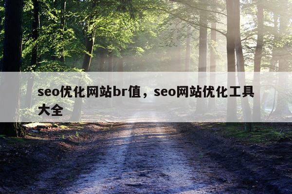 seo优化网站br值，seo网站优化工具大全