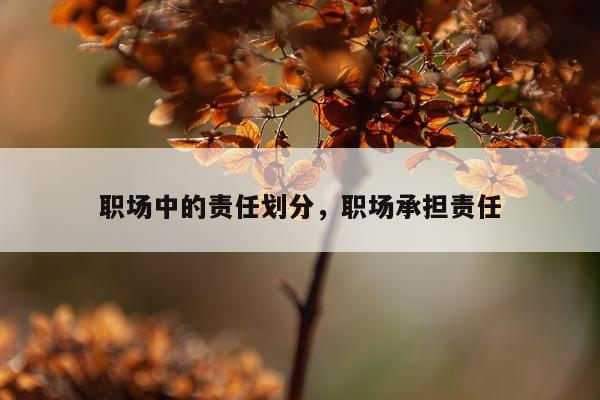 职场中的责任划分，职场承担责任