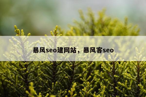 暴风seo建网站，暴风客seo