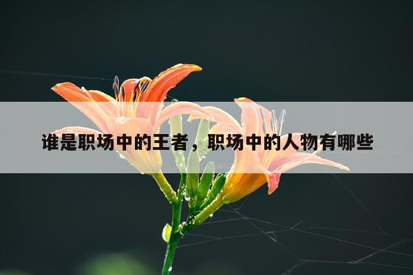 谁是职场中的王者，职场中的人物有哪些