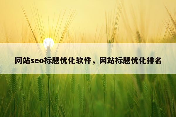 网站seo标题优化软件,网站标题优化排名