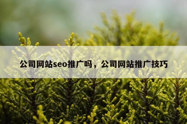 公司网站seo推广吗，公司网站推广技巧