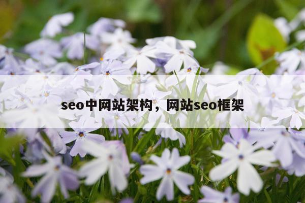 seo中网站架构，网站seo框架