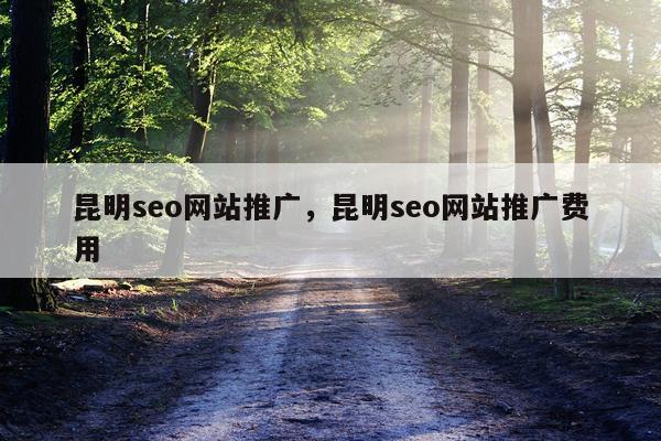 昆明seo网站推广,昆明seo网站推广费用