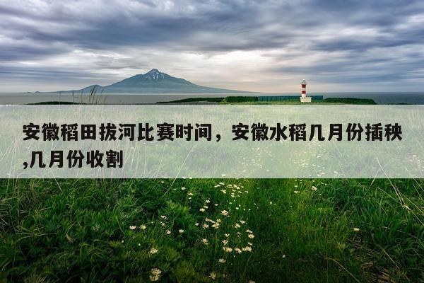 安徽稻田拔河比赛时间，安徽水稻几月份插秧,几月份收割